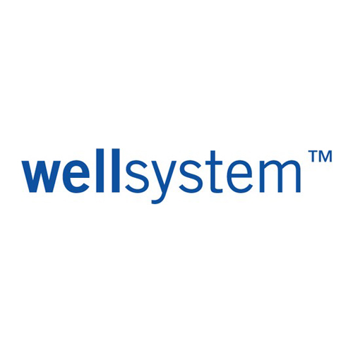 Wellsystem